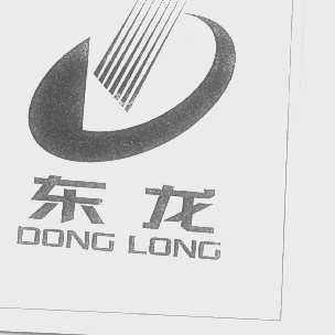 东龙