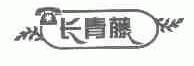 长青藤