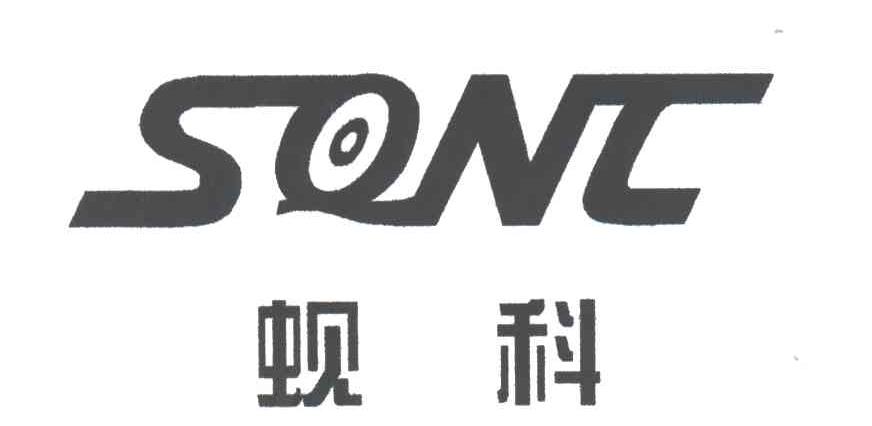 蚬科