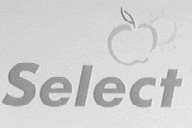SELECT