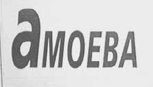 AMOEBA