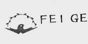 FEI GE