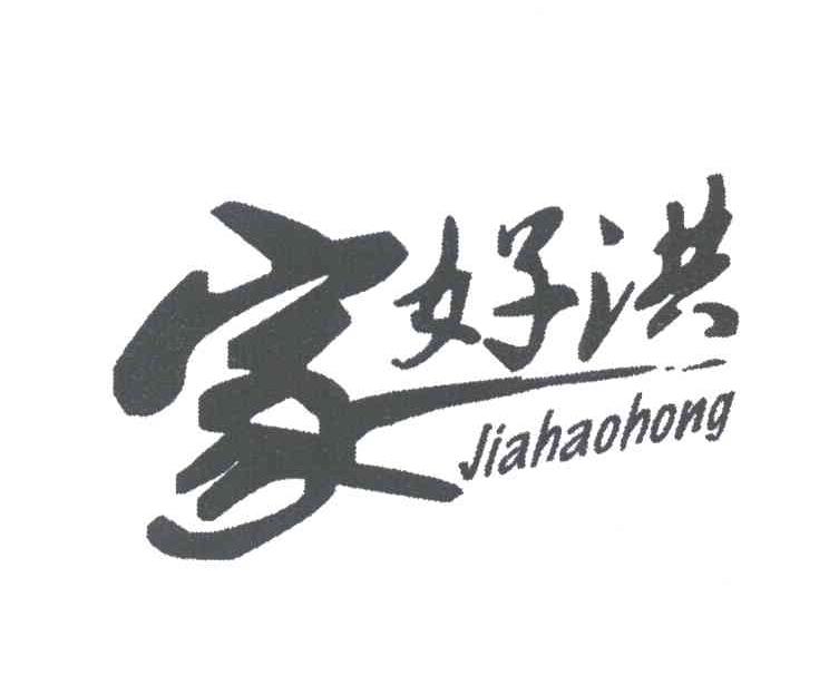 家好洪