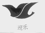 迎乐