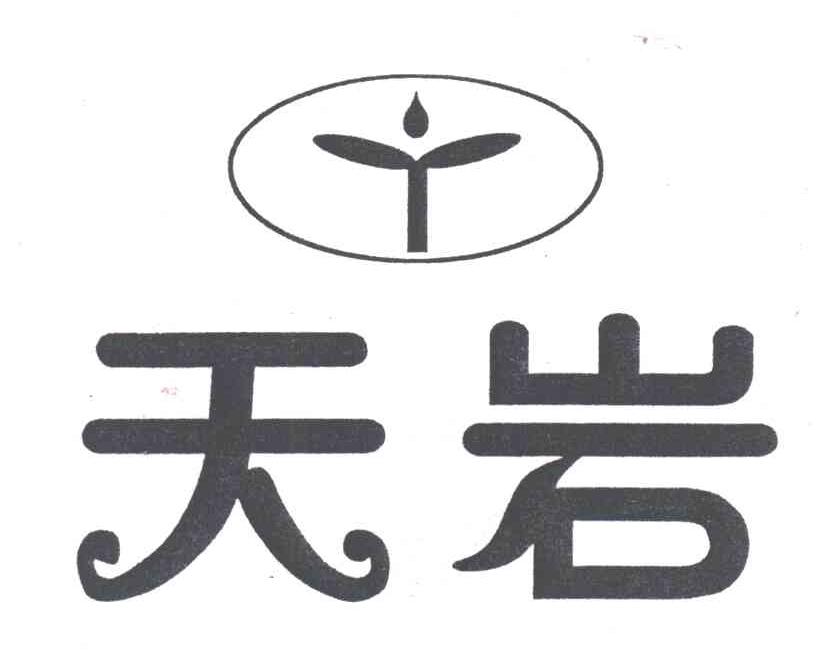 天岩