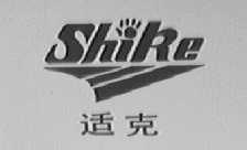 适克