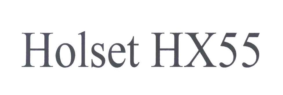 HOLSET HX55