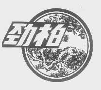 劲柏