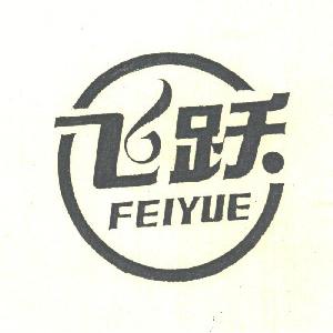 飞跃