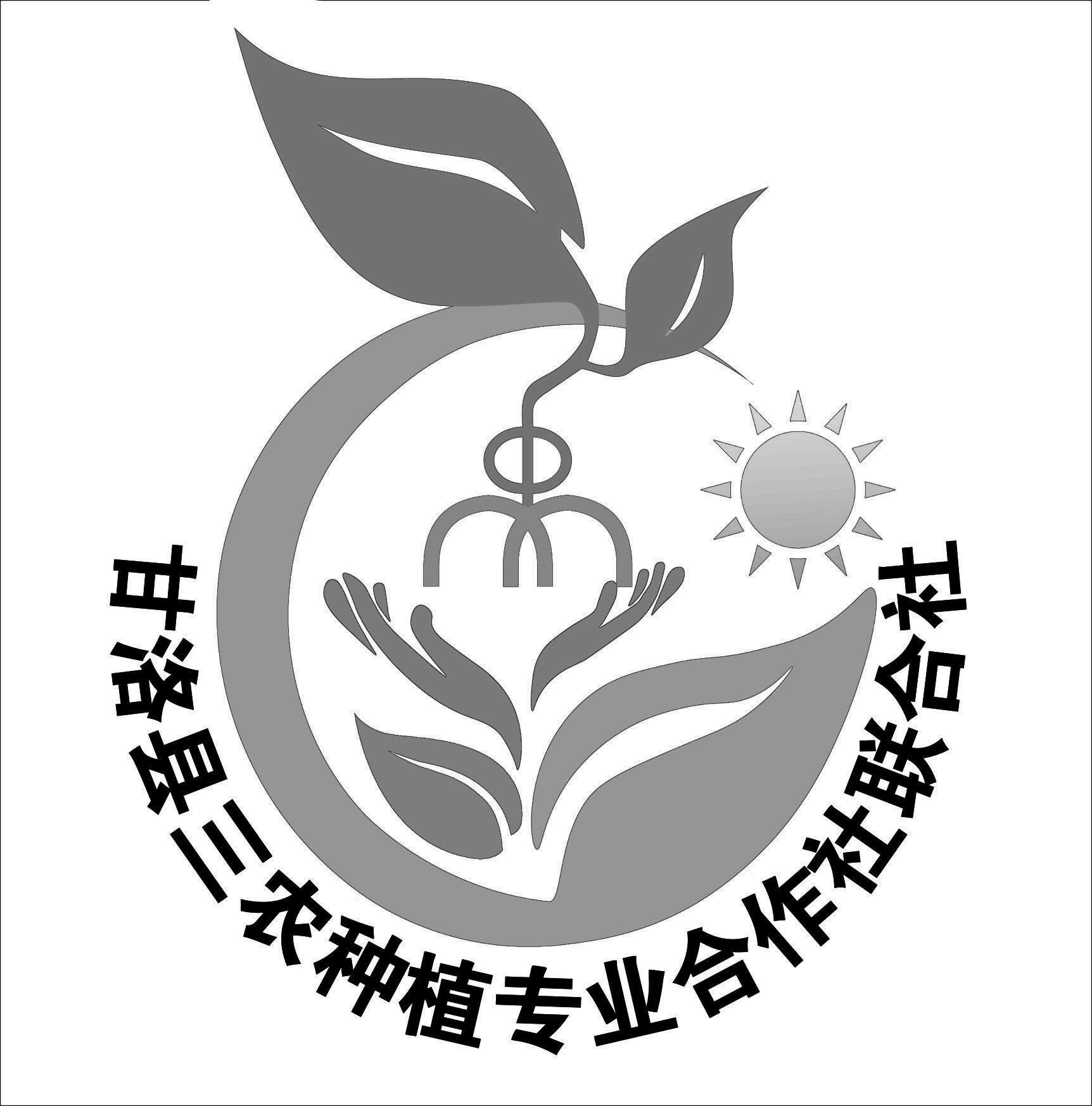 甘洛县三农种植专业合作社联合社