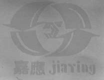 嘉应