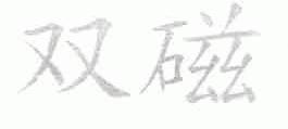 双磁