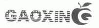 GAOXIN