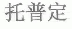 托普定