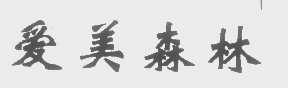 爱美森林