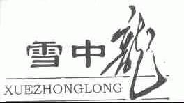 雪中龙