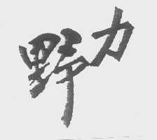 野力