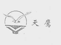 天鹰