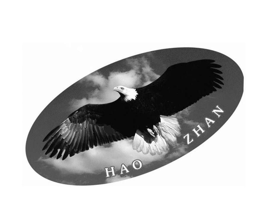 HAO ZHAN