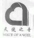 天使之音;VOICE OF ANGEL