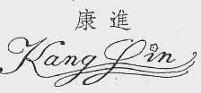 康进