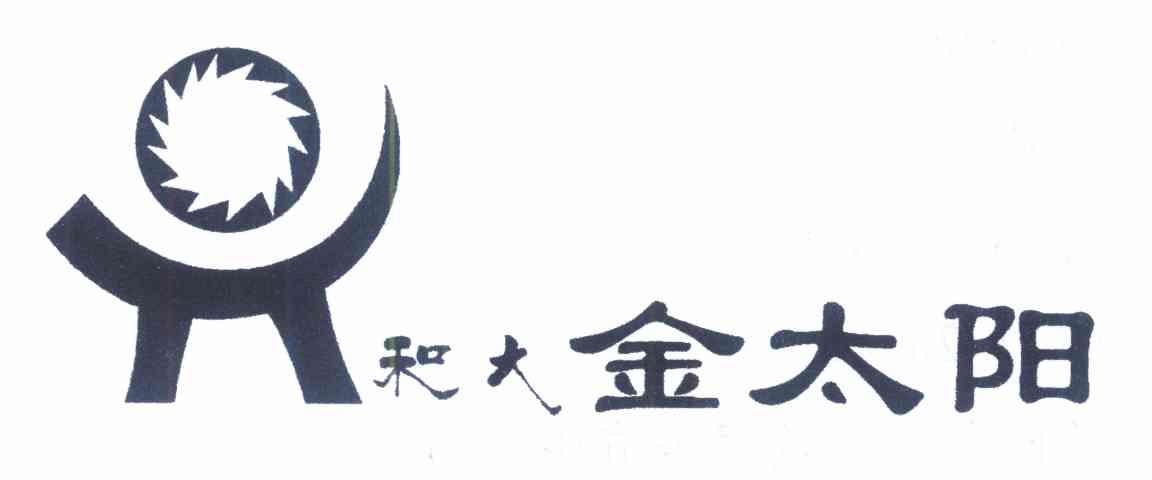 和大 金太阳