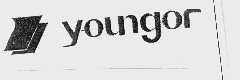 YOUNGOR