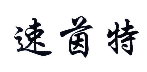 速茵特
