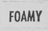 FOAMY