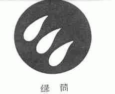 绿荷