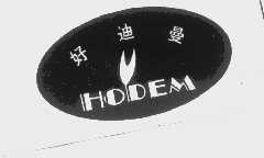 好迪曼   HODEM