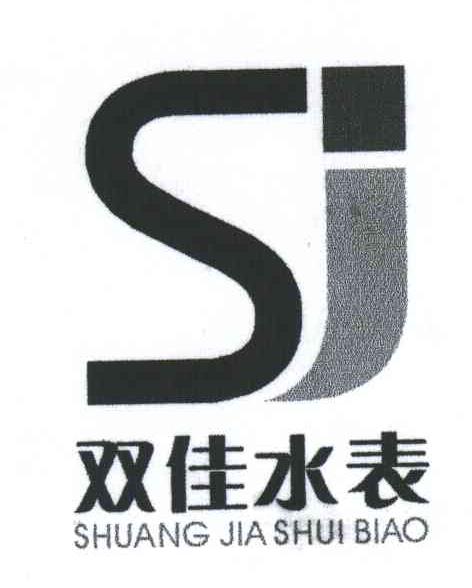 双佳水表