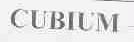CUBIUM