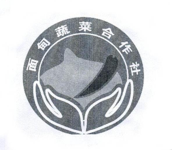 面甸蔬菜合作社