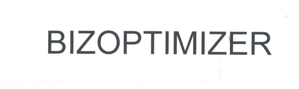 BIZOPTIMIZER