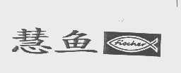 慧鱼   FISCHER