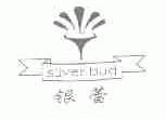 银蕾;SILVER BUD