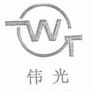 伟光