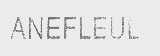 ANEFLEUL