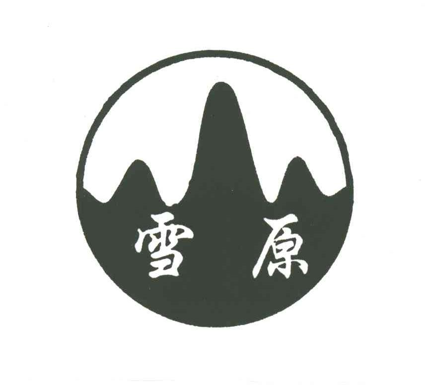 雪原