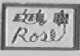 玫瑰;ROSE