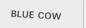 BLUE COW