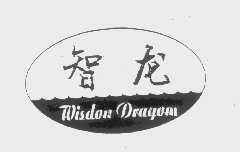 智龙   WISDON DRAGOM
