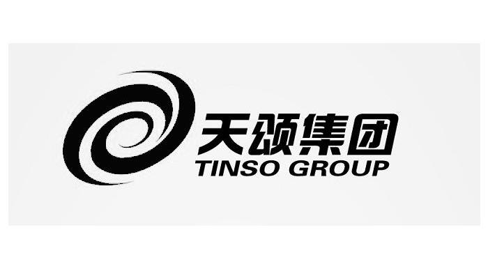 天颂集团 TINSO GROUP