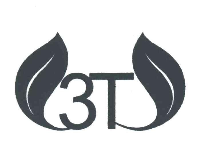 T;3
