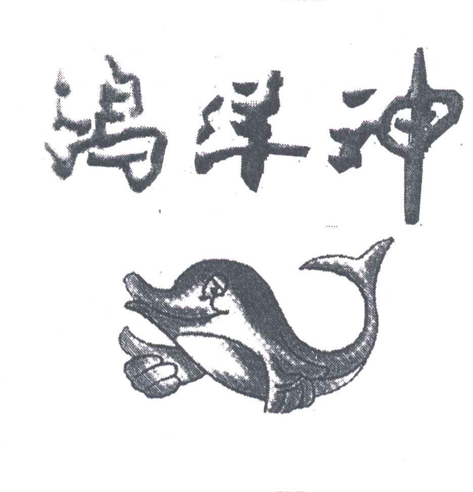 鸿洋神