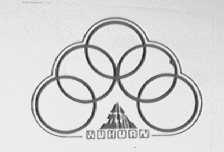 五环