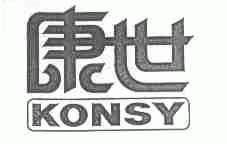 康世;KONSY