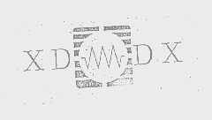 XDDX