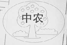 中农